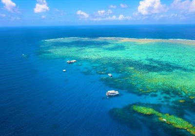 Cairns