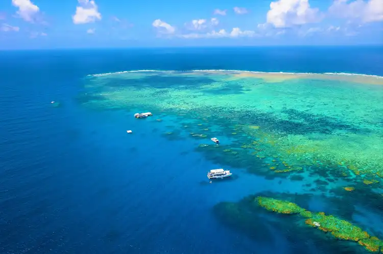 Cairns