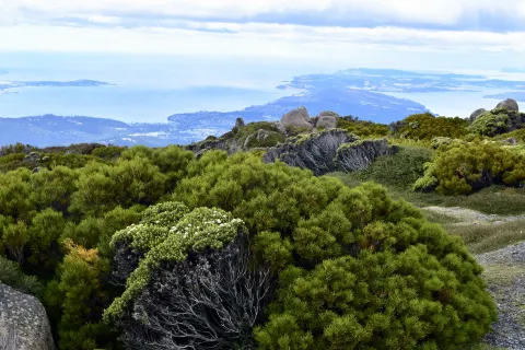 Monte Wellington
