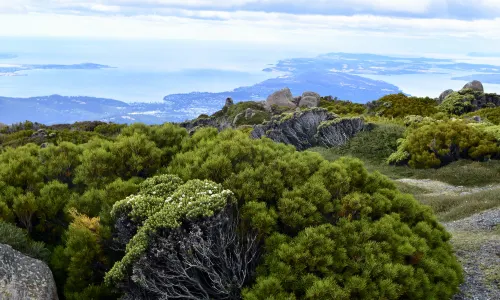 Monte Wellington