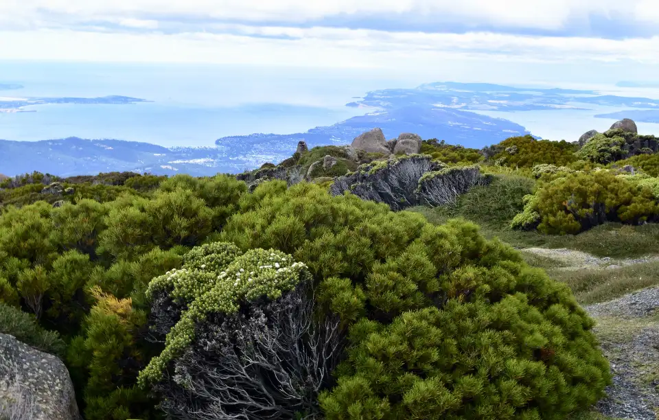 2_Mount Wellington