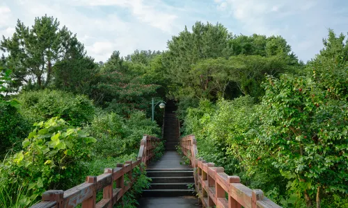 Olle Trail
