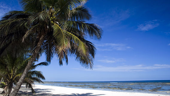 Mombasa Marine National Park