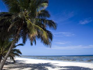 Lufthansa Frankfurt Mombasa