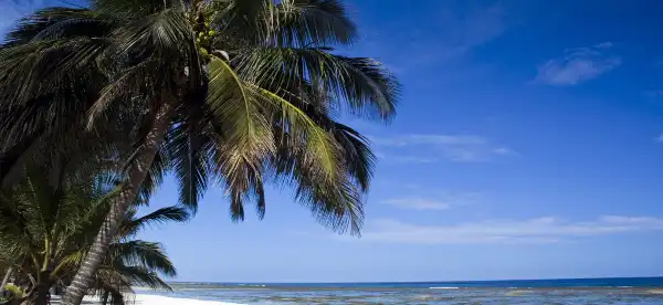 Mtwapa