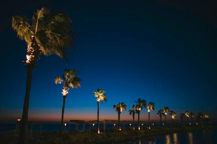 Red Sea