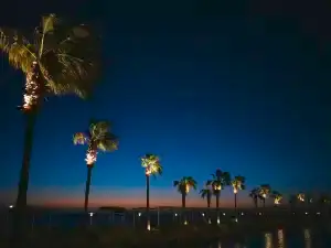 胡爾加達的熱門夜間人氣景點