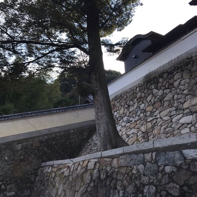 altTitle
