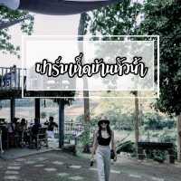 ฟาร์มเห็ดบ้านหัวน้ำ@น่าน 