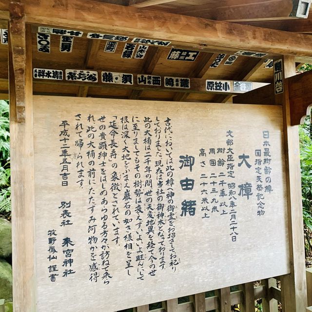 【熱海】来宮神社
