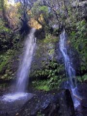 Newton's Waterfall