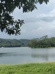 Foling Lake Country Park