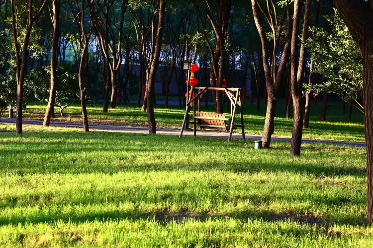 Hotels near Zhongshan Park