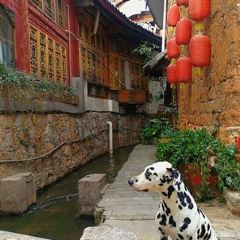 DIAN CHU XIAO GUO BA User Photo