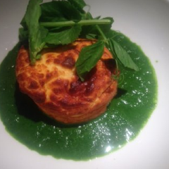 Survey Co User Photo