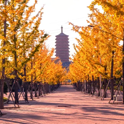 Mercure Beijing Advanced Business Park