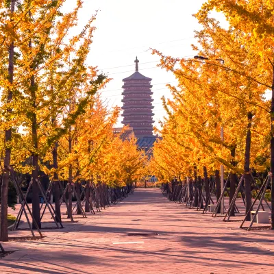 北京麗都維景酒店