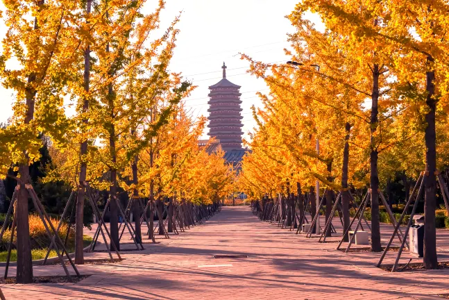 China World Hotel, Beijing