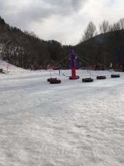 心悅來滑雪場