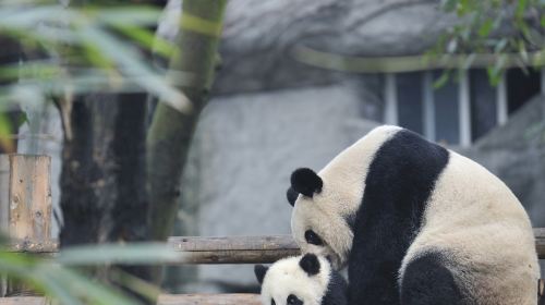 Zoo Atlanta