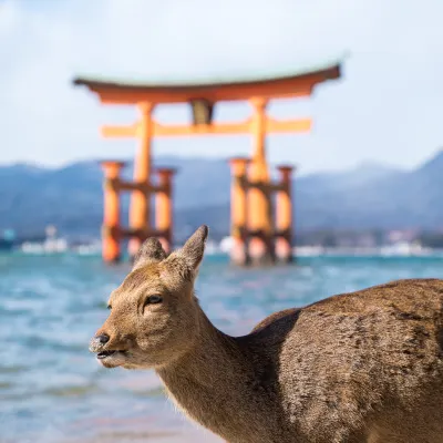 木花駅周辺のホテル