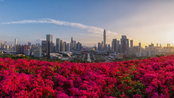 深圳科學館+蓮花山公園+中英街+大梅沙海濱公園一日活動