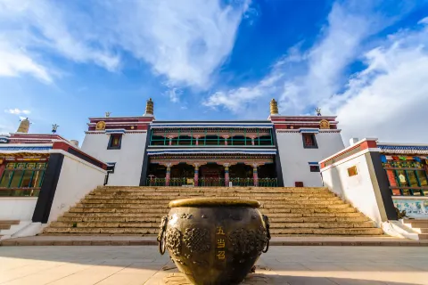 Wudangzhao