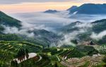 雲和梯田景區九曲雲環