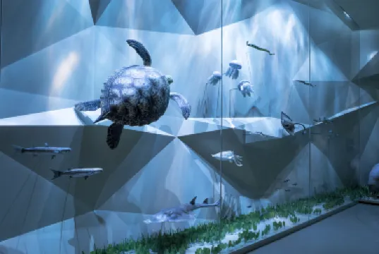 National Museum of Qatar