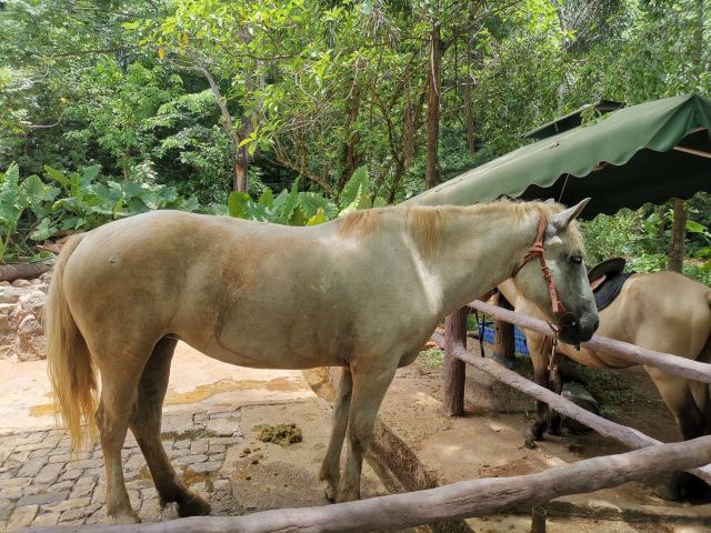 Hainan Tropical Wildlife Park