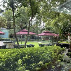 South Beauty ảnh của người dùng