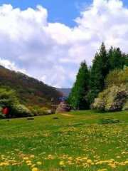 Liupan Mountain Ecology Botanical Garden