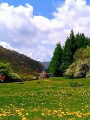 六盤山生態植物園