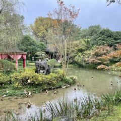 LONGJING MANOR User Photo