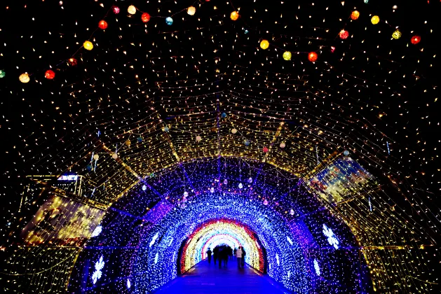 Апартаменты в г. Чжанцзякоу