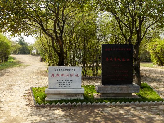 秦咸陽城遺址