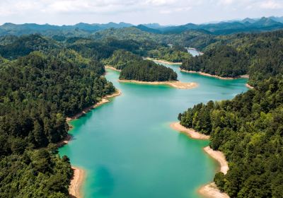 長順杜鵑湖風景區