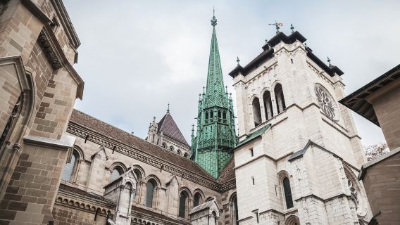 St. Pierre Cathedral + International Red Cross and Crescent Museum + Rousseau's House + Lake Geneva