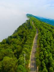 雲龜山景區