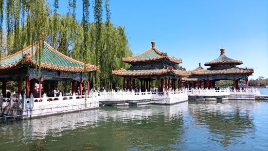 北海公園的五龍亭原來是供明清兩代帝后們賞月的地方。在北海北岸