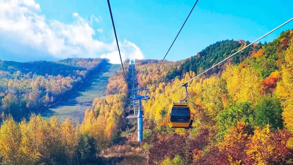 Hotels near Merlin Valley Subalpine Sports and Leisure Resort
