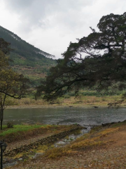 貴村AAAA房車露營地