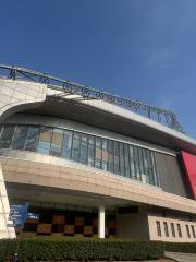난창 국제 스포츠 센터 - 경기장