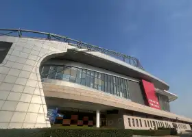Nanchang International Sports Centre - Gymnasium
