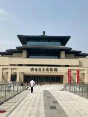 Shaanxi Archaeology Museum