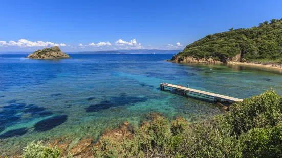 耶爾群島