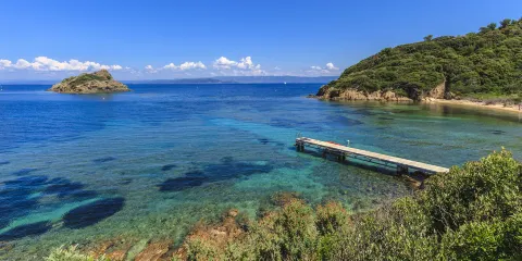 耶爾羣島