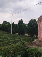 Yinshan Royal Tomb of Yue Kingdom