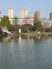 Tongchengshi Xijiao Park