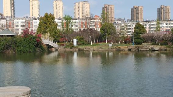 Tongcheng